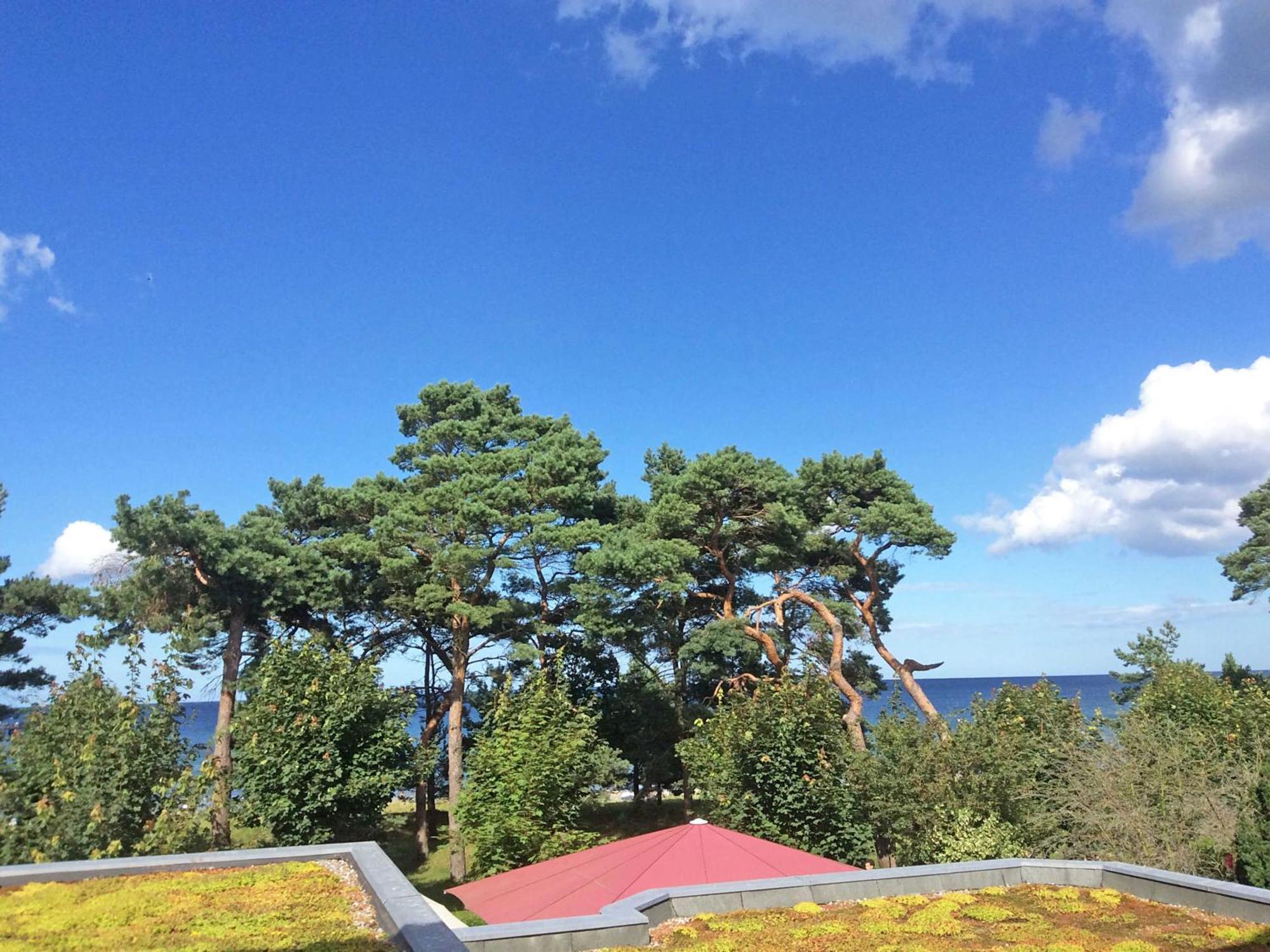Villa Freia In Binz - Wg 11 Mit Meerblick Und Balkon ภายนอก รูปภาพ